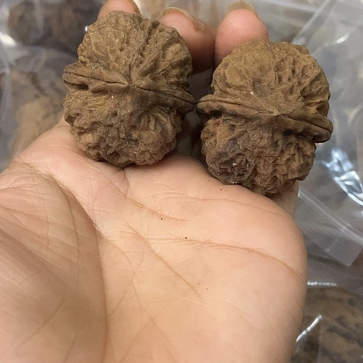 文玩核桃把件云南铁核桃基地29