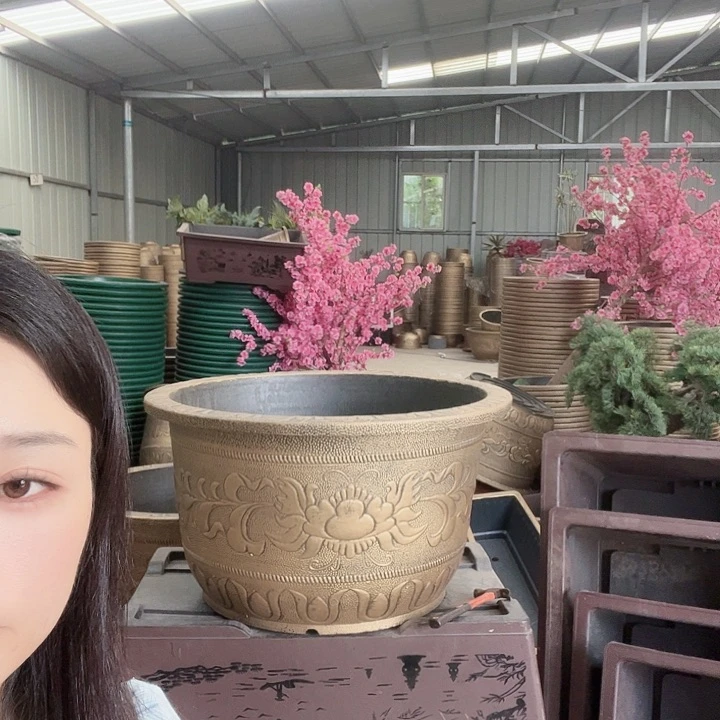 补差价发八角50花盆2个
