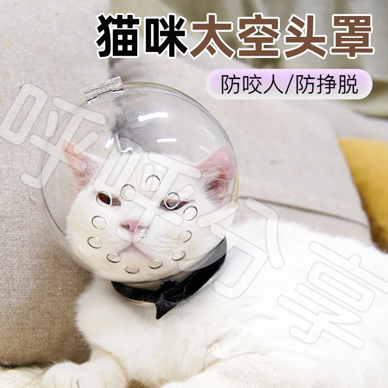【宠大条】猫咪太空头罩防咬头套猫洗澡防咬神器猫项圈伊丽莎白圈