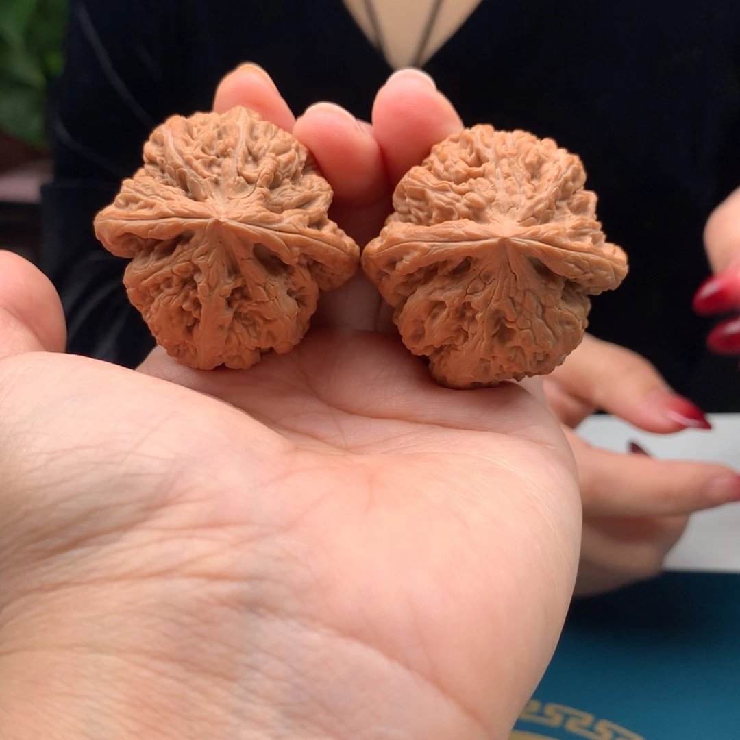 大叶紫檀（黑酸枝木类）粗筋