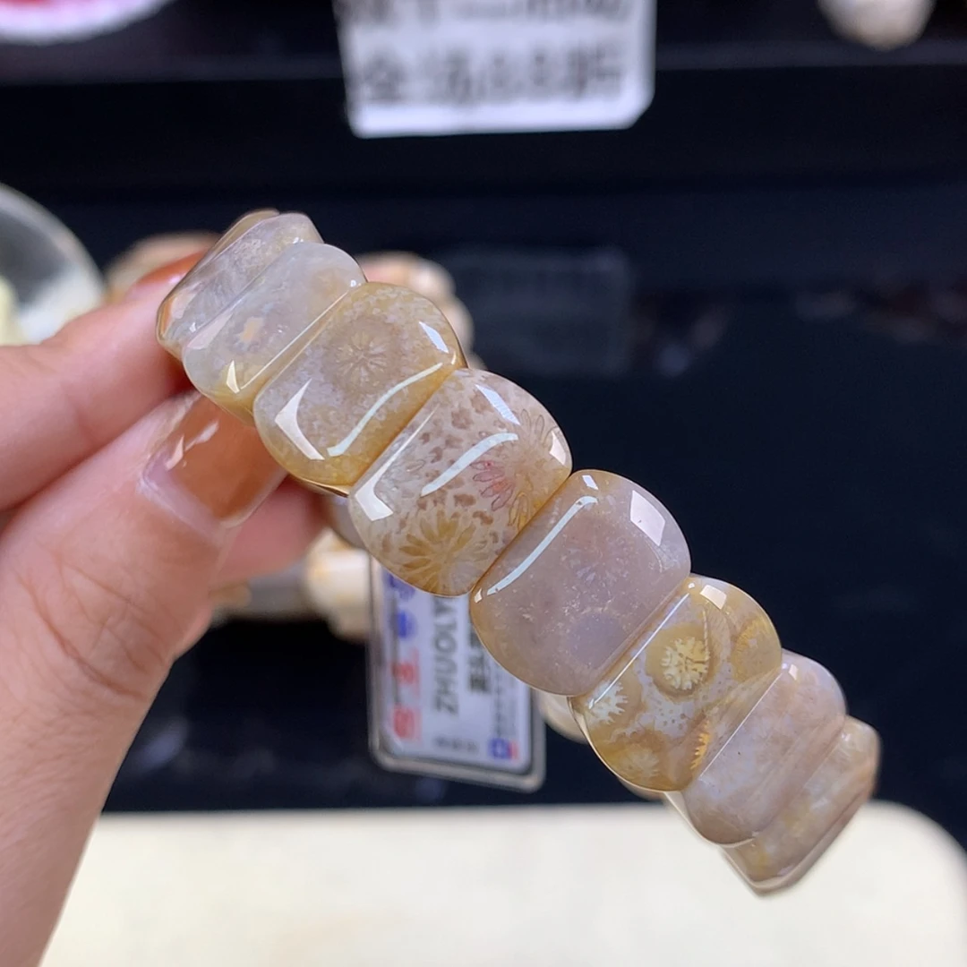 【闪购商品】颈饰未镶嵌硅化珊瑚（珊瑚玉）福利手牌31号