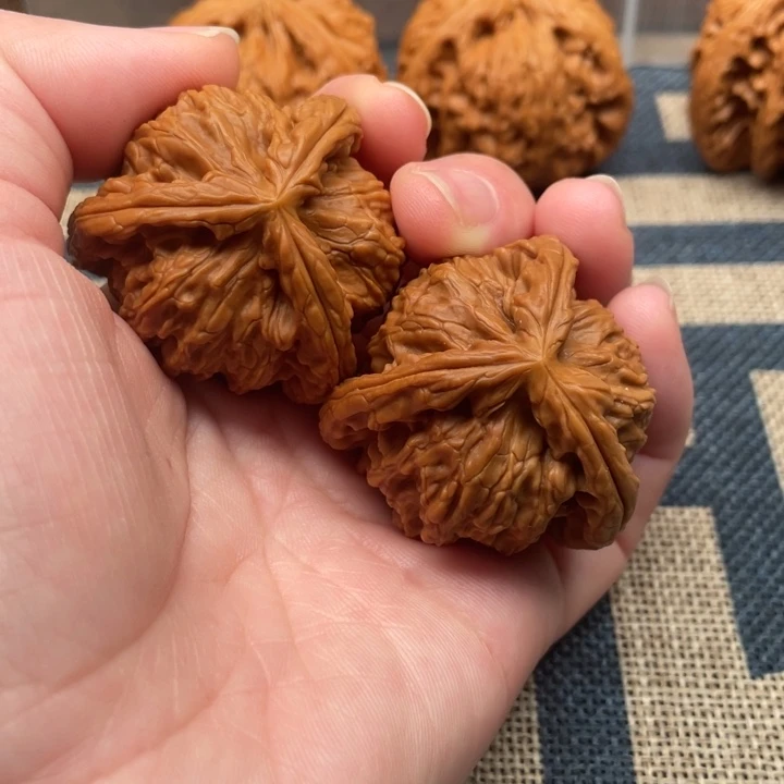 我***锅核桃白狮子39核桃