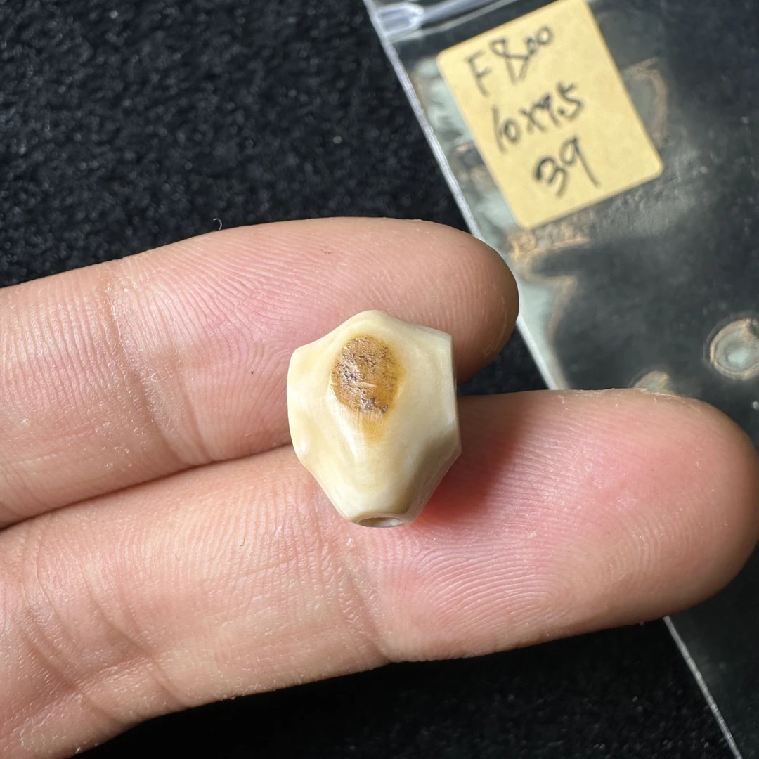 F800猛犸象牙对孔10*9.5mm鲨鱼背三通奶咖果冻料