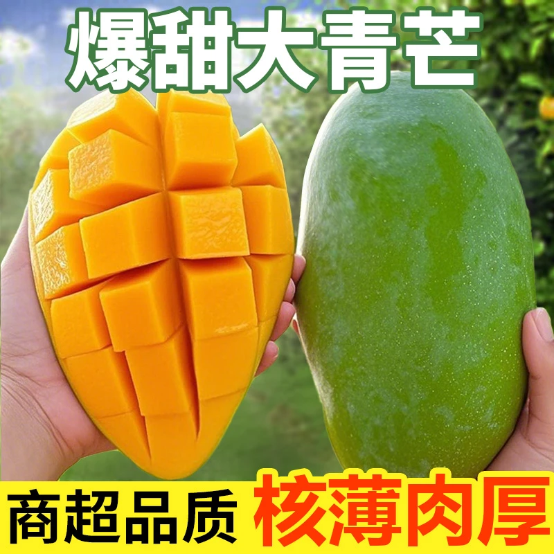 遇上果园【A级果】正宗大青芒青皮芒果生熟两吃鲜甜多汁坏果包赔