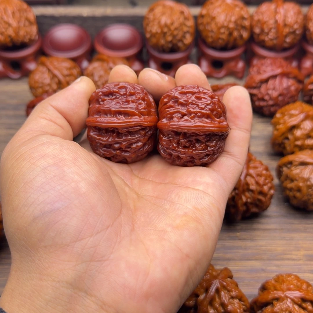 球***谱菩提籽类磨盘宝贝宝贝