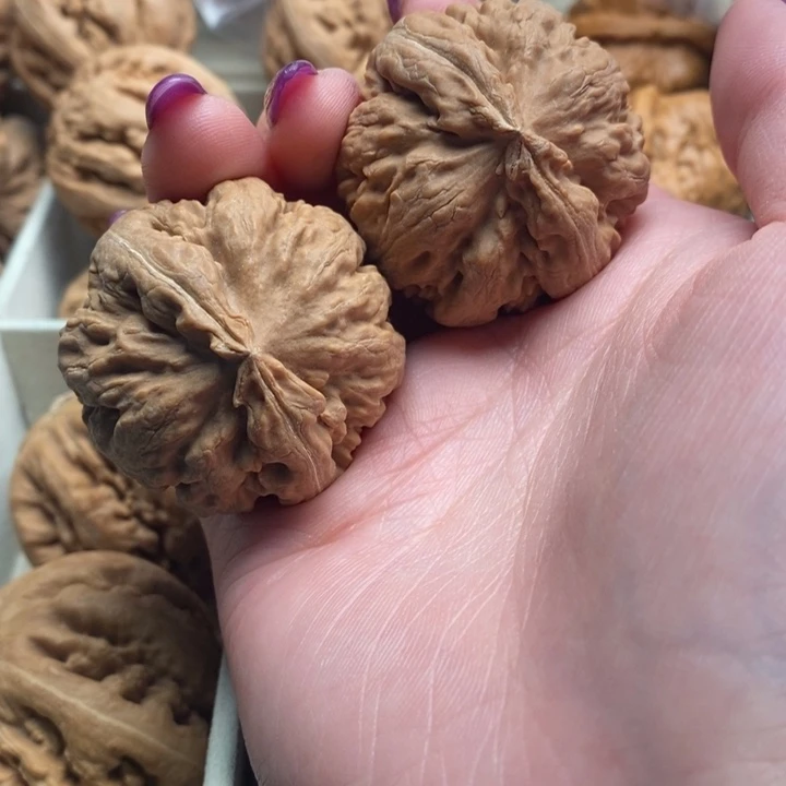 小***！文玩核桃吊坠霸王龙