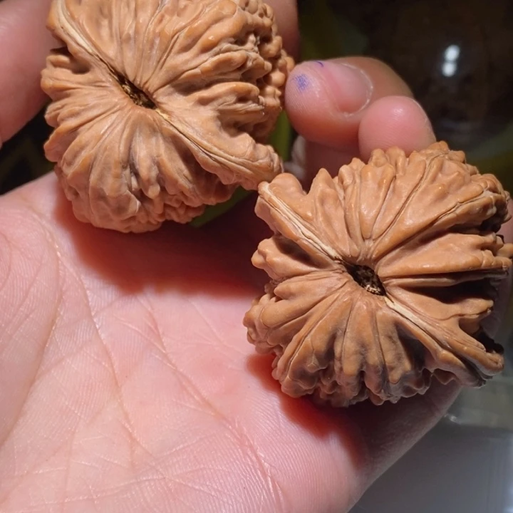 假***文玩核桃吊坠精品课程和专业培训教材编写