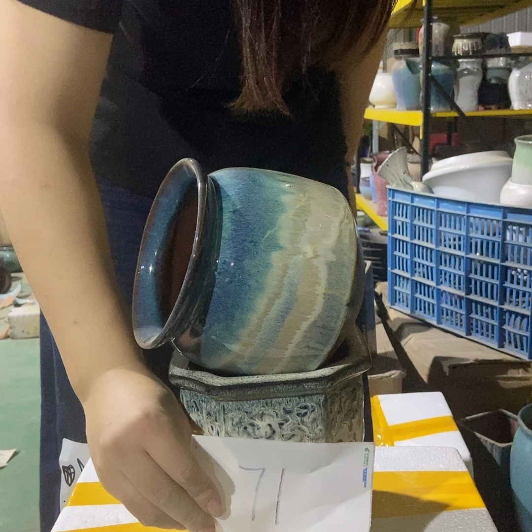 花盆里的花开了花开71