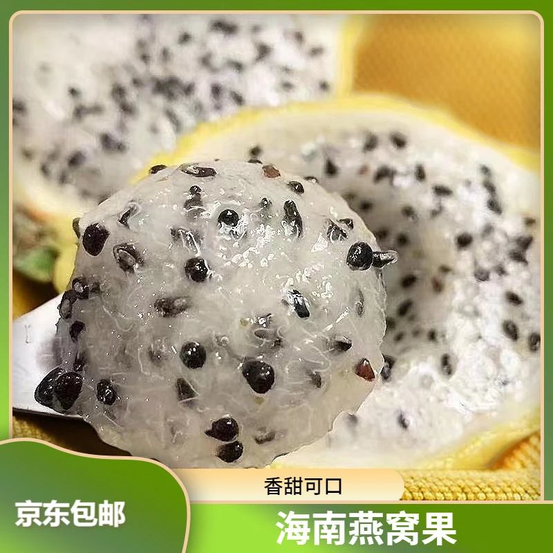 海南燕窝果现摘现发香甜多汁果肉细腻水果送礼年货南黄皮火龙果
