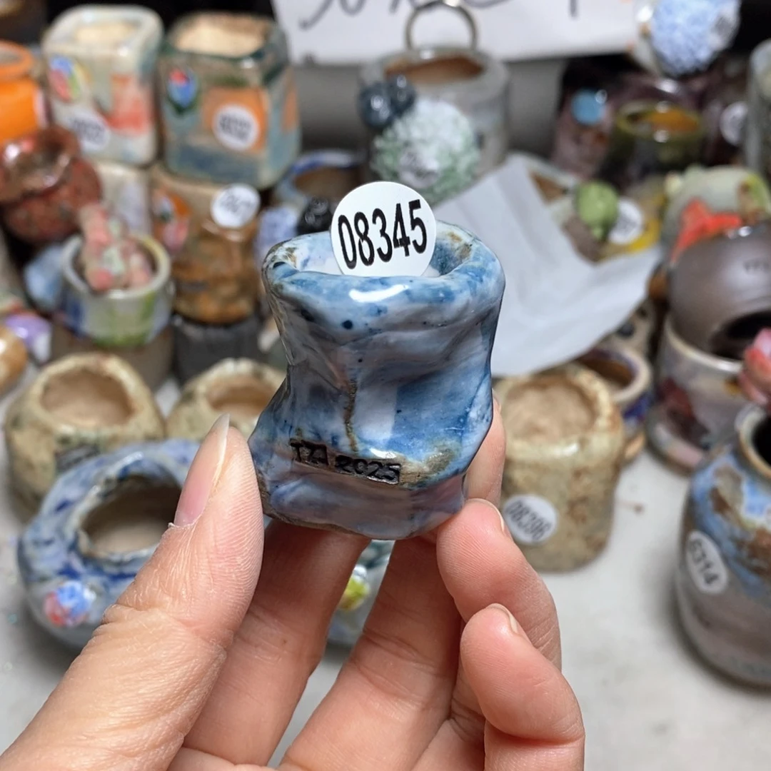 j**c花盆拍5送一个小礼物