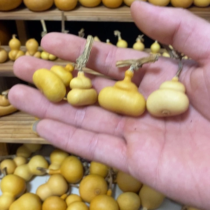发发发发发发财发发