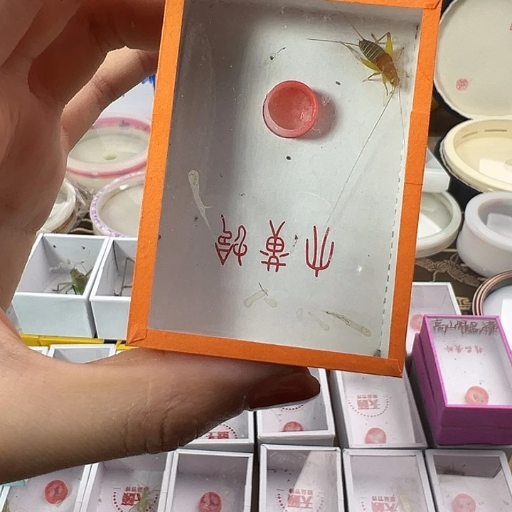 烈焰仙子一只包邮