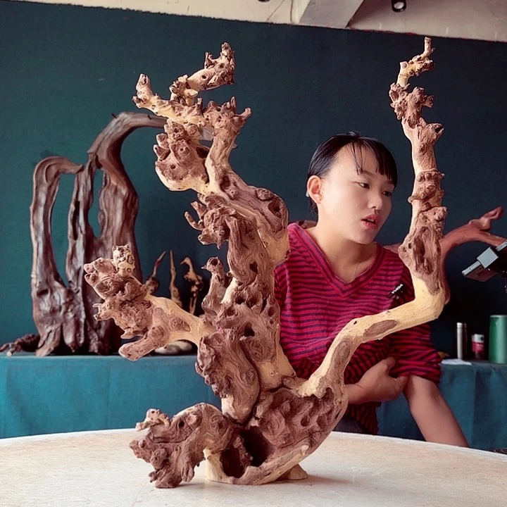 黑果木用****1872金丝红木羊蹄甲半成品