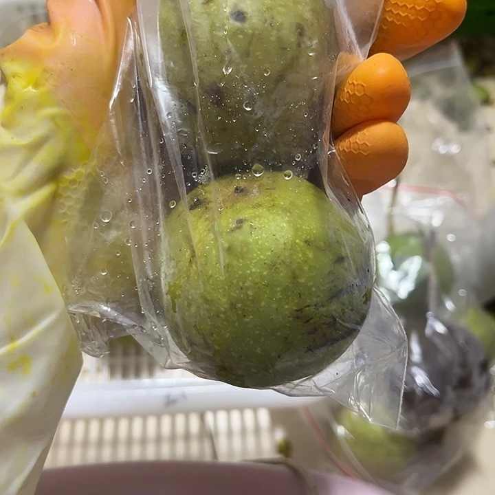 吊坠文玩核桃宫灯青皮