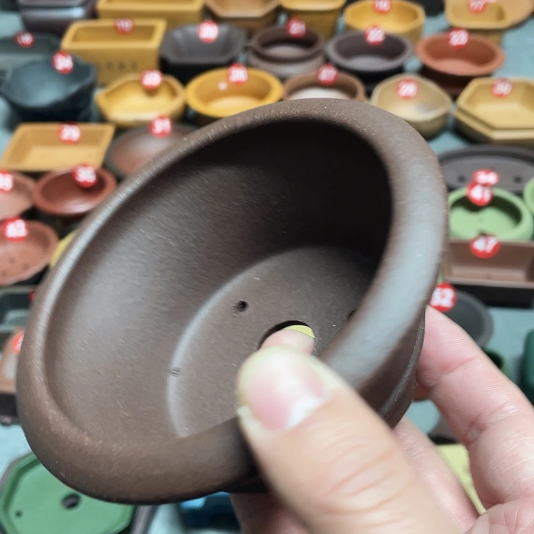 紫砂小盆9.5*4cmmmm