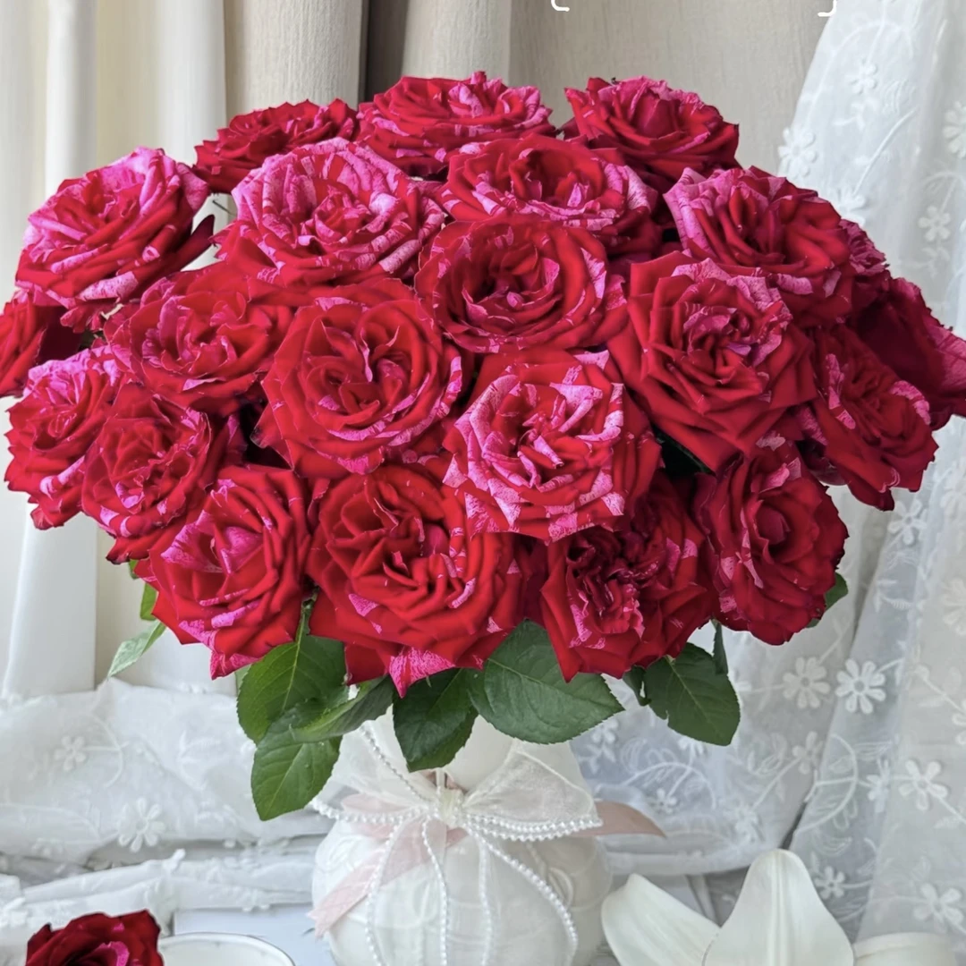 两单包邮！幸运女神10支（20%不售后）