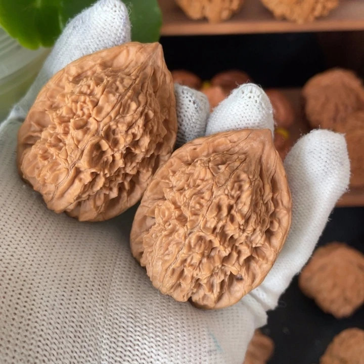 木秦岭核桃的鸡王