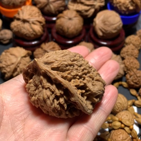 核桃萧*异形单只一个