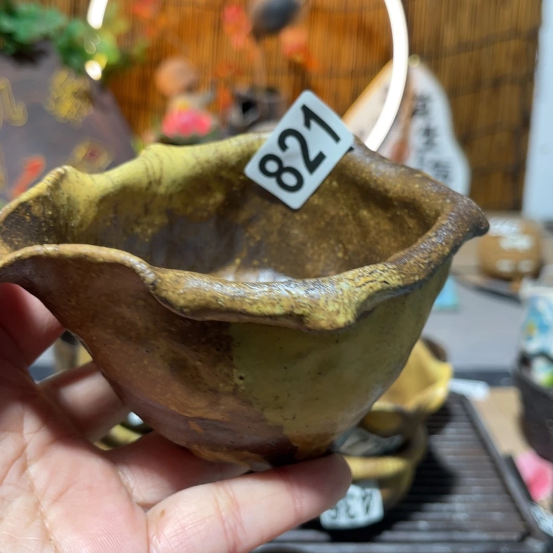 木村信弘柴烧保平