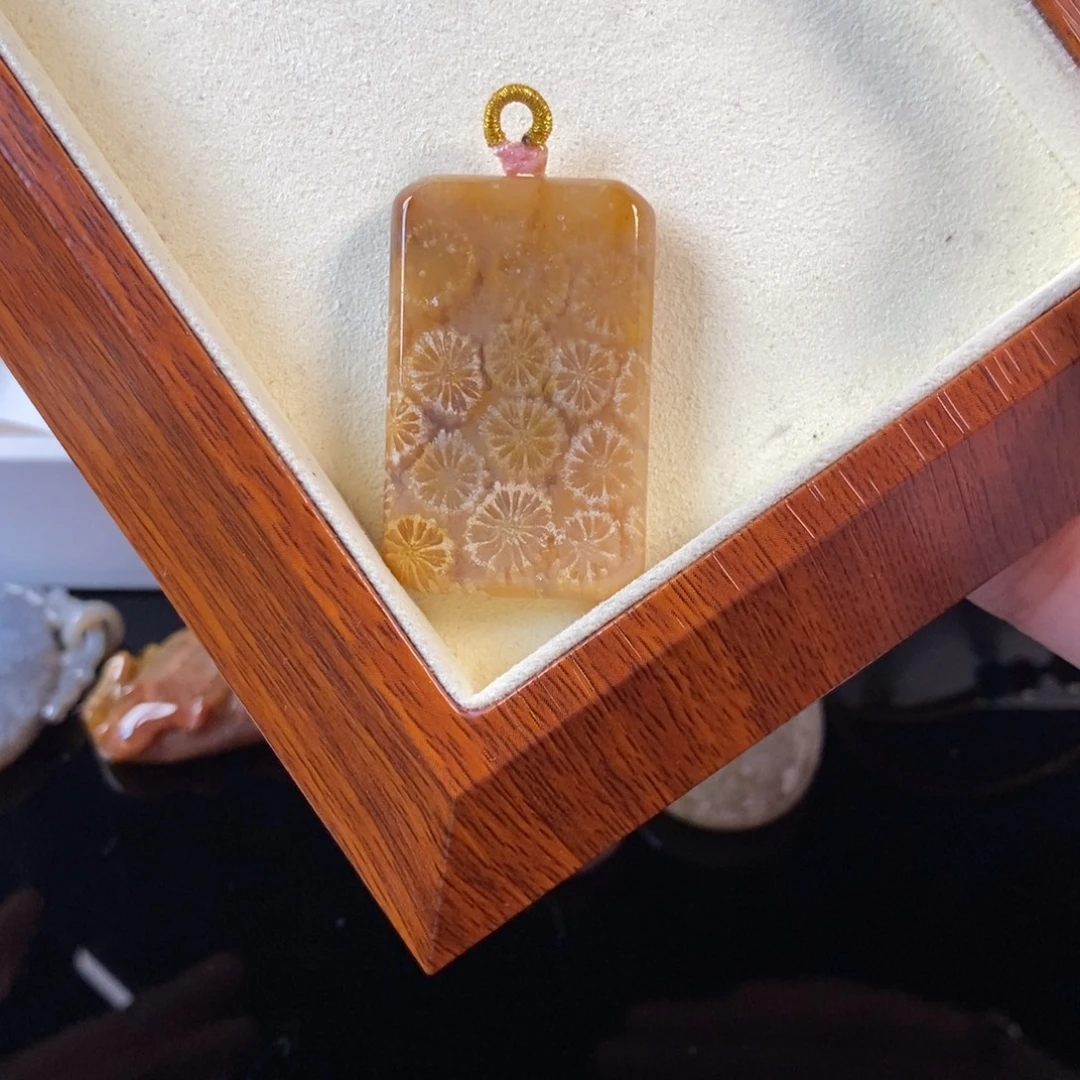 硅化珊瑚（珊瑚玉）未镶嵌颈饰30