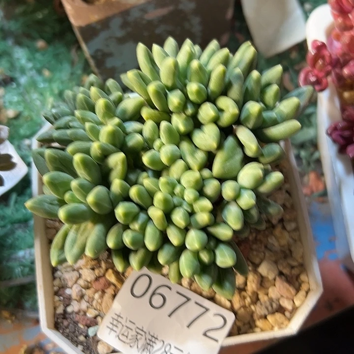 幸运的是我还没遇到过
