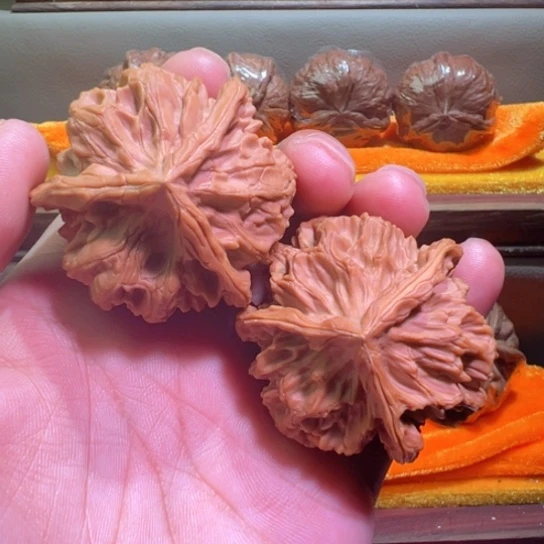龙纹正奔48边45高