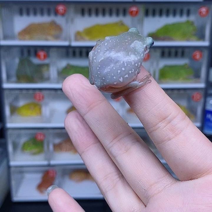 特价秒杀哇好想看