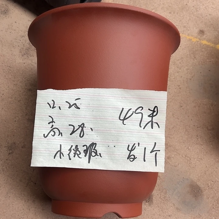 宜兴丁山张伟花盆