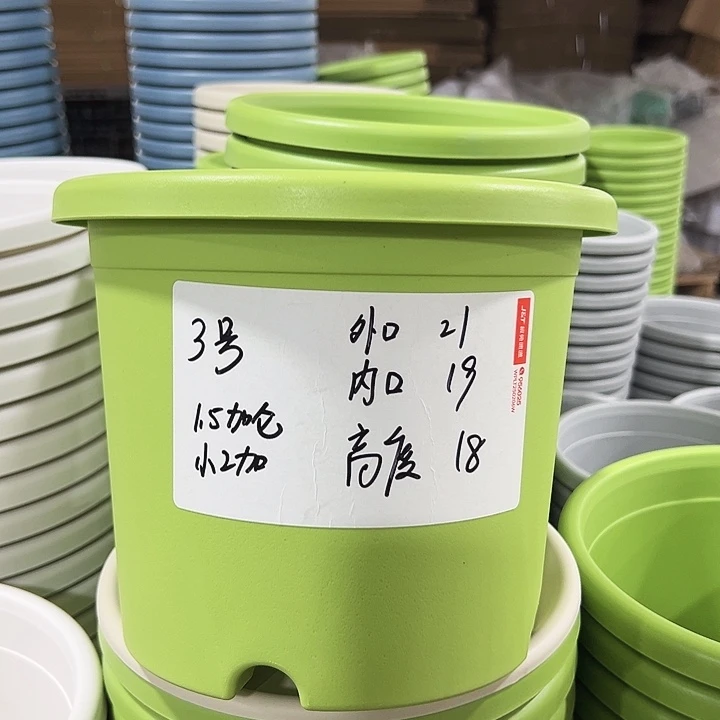 特价3四季口21高18果绿无托10只
