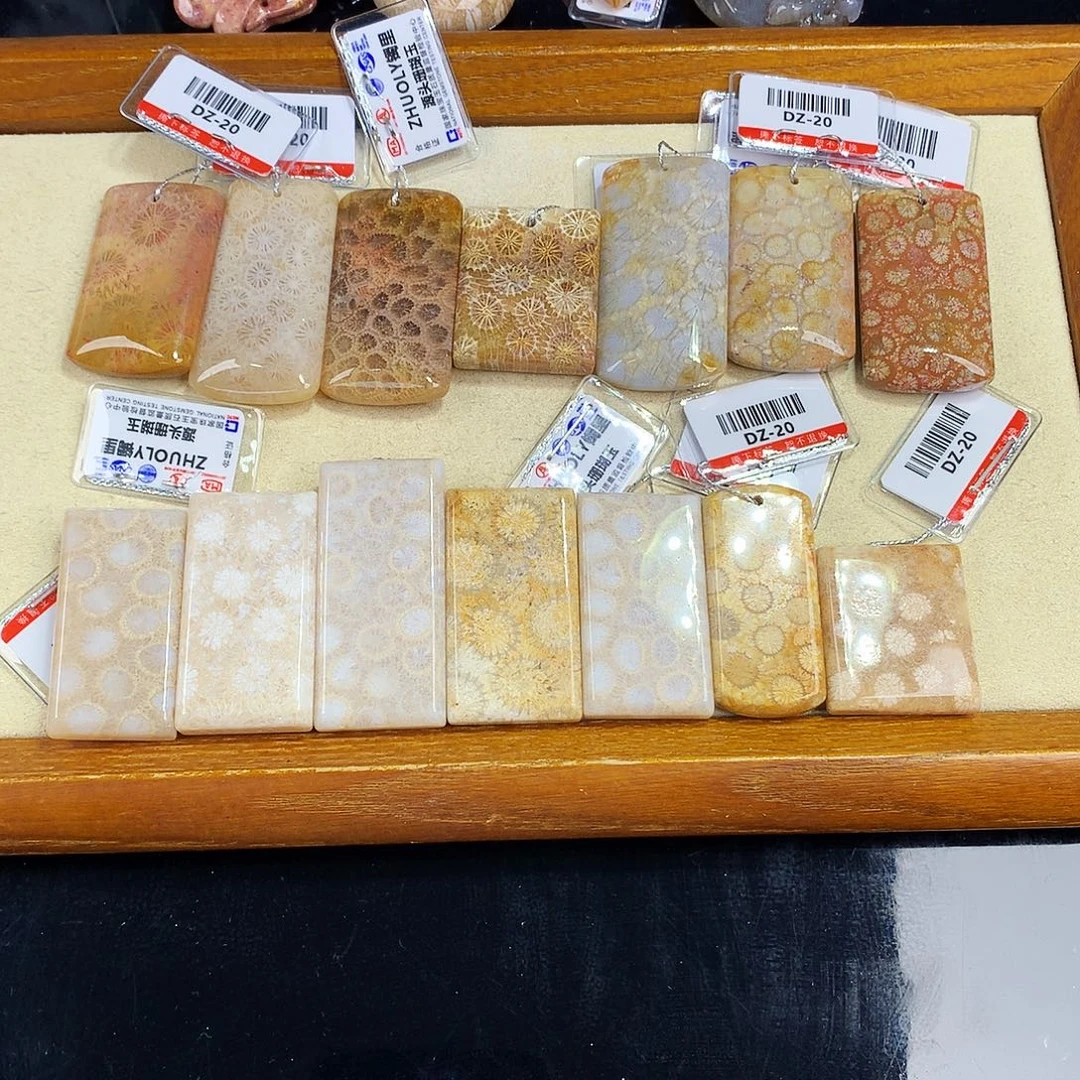 硅化珊瑚（珊瑚玉）未镶嵌吊坠(赠链)16号吊坠20一个