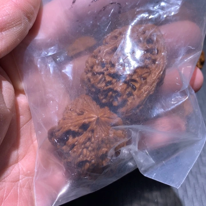 桃核吊坠梁***?毕业南疆