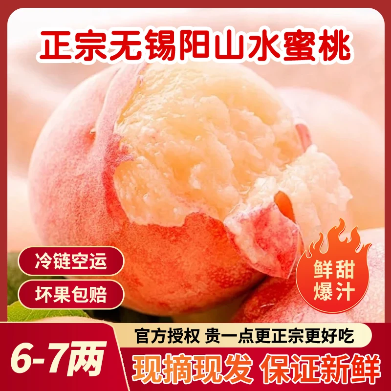 【单果6-7两】正宗无锡阳山水蜜桃爆汁软硬桃现采现发高端礼盒