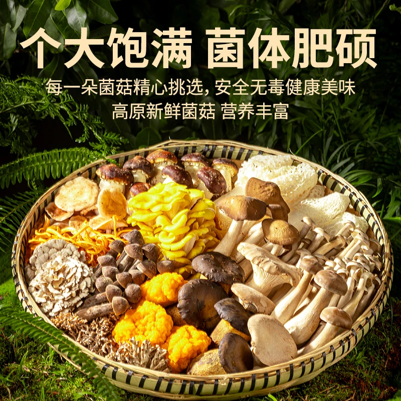 每日鲜摘【顺丰冷链保鲜到家】七彩新鲜菌菇 10种新鲜菌 1斤装