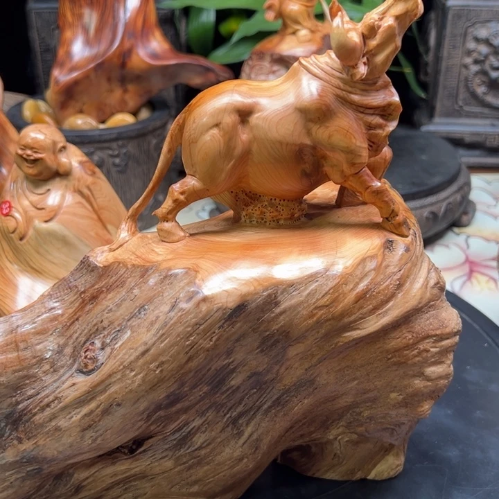 指***针崖柏崖柏崖柏崖柏崖柏