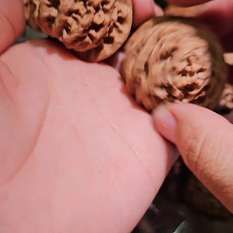 文玩核桃吊坠43+5宫灯