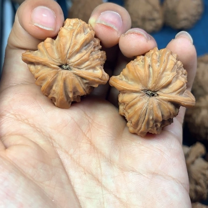 吊坠文玩核桃33赵11的老爷帽