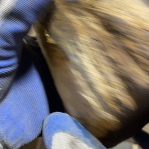 ෆ***酱贡木把件定制1239678958096