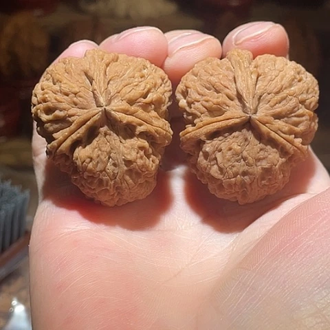 把件文玩核桃西北蜂带彩磕尖38