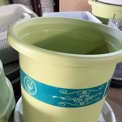 树脂印花四季7号7个绿无托