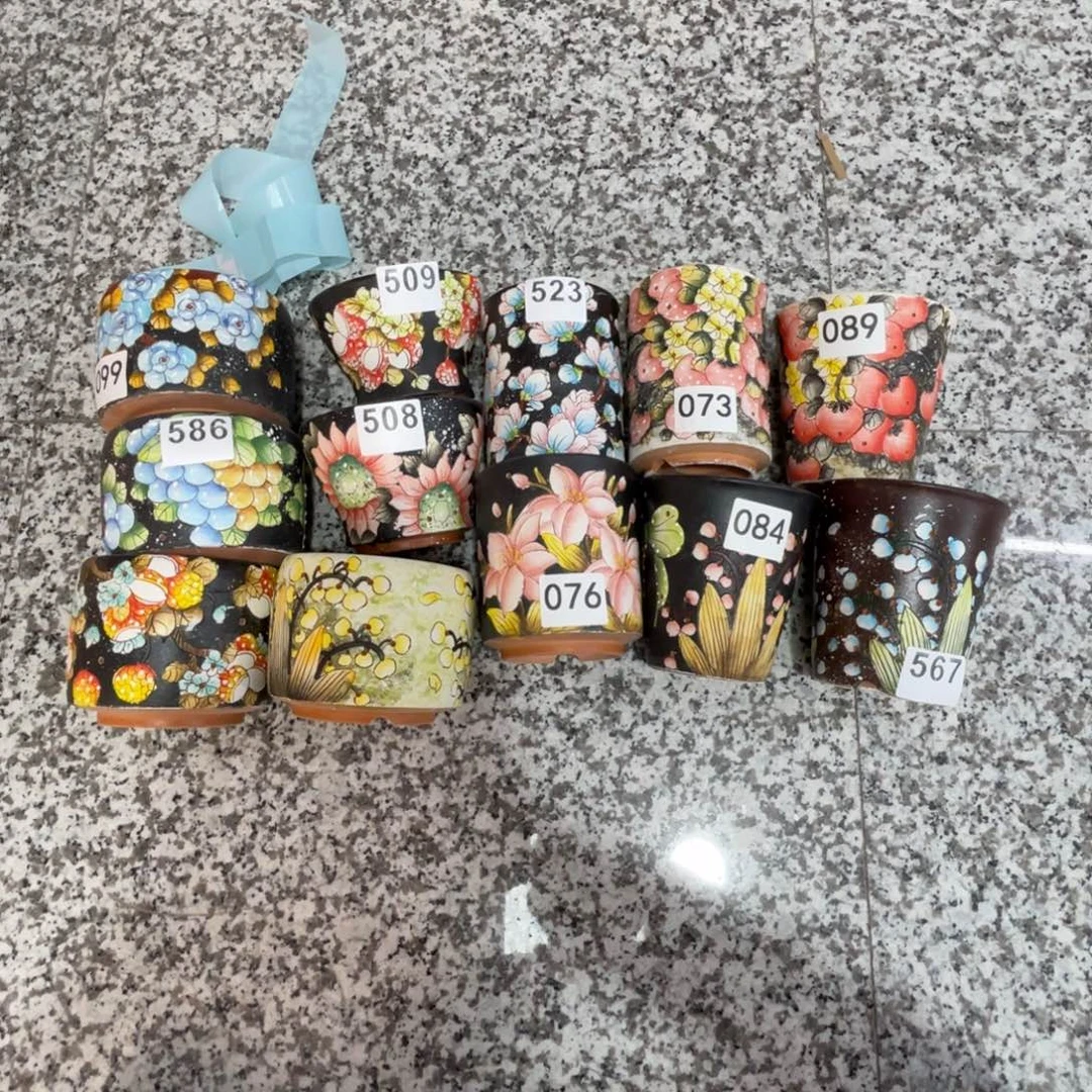 菜***啄衣衣12个默认微瑕不退换