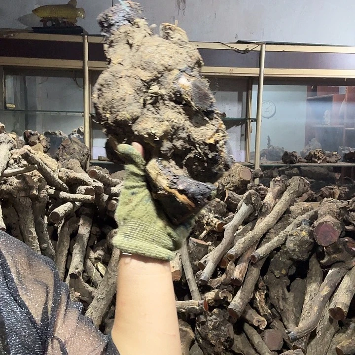 两***炮香榧木火琉璃的故事是一个