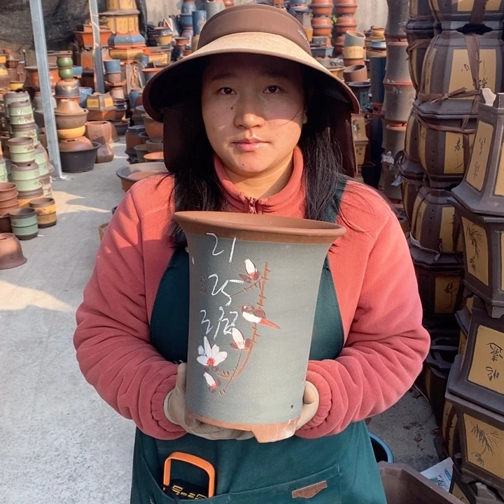 紫砂花盆盆栽花卉苗木种植