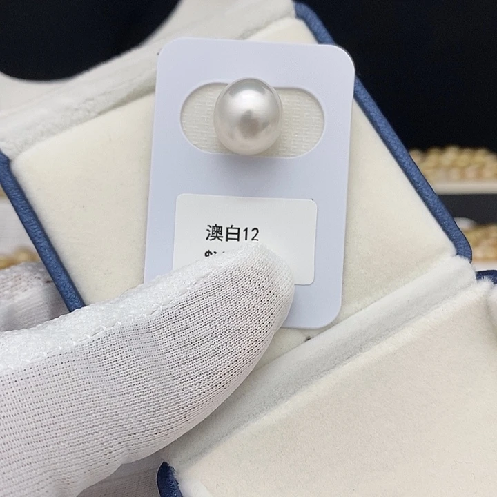 海水珍珠未镶嵌颈饰