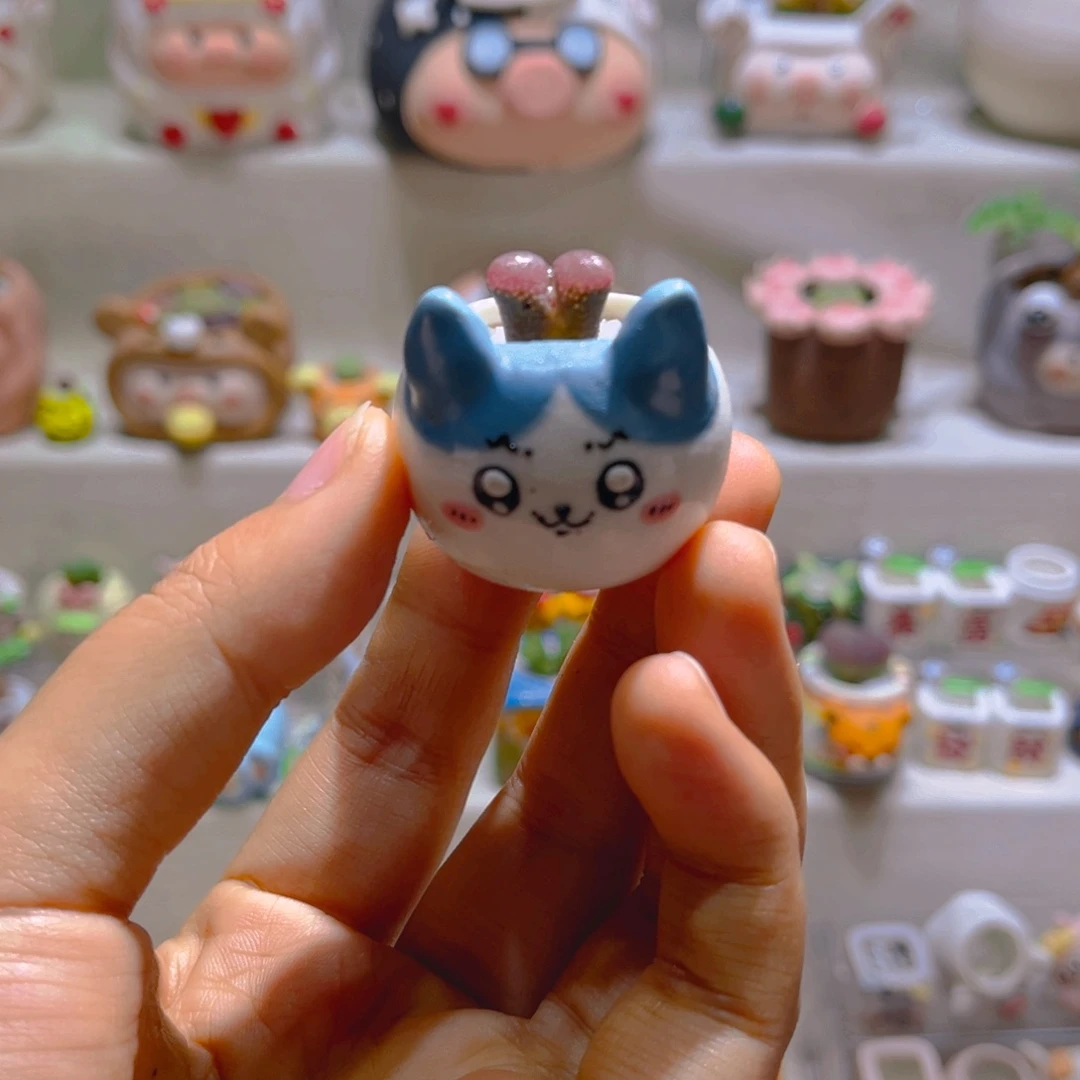 037高端多肉带盆土一套35