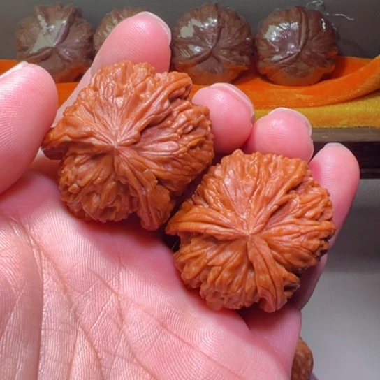 把件文玩核桃开角好精品白狮子三棱39边30高