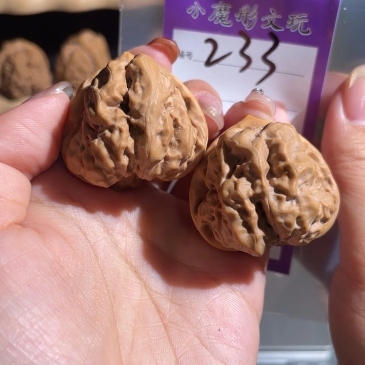 233号 哇啊啊啊 3777