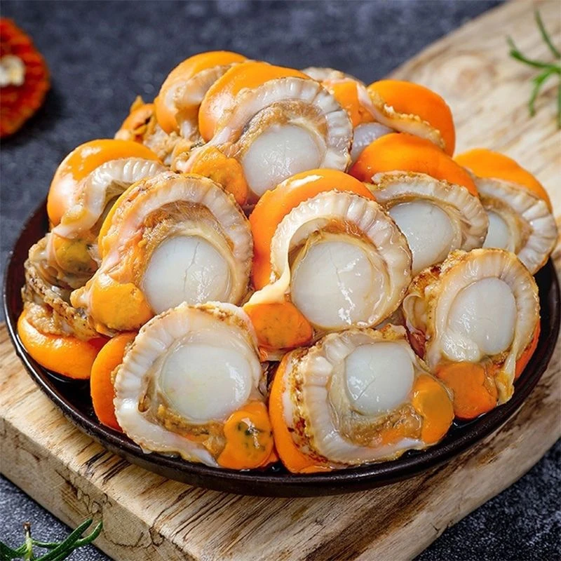 扇贝肉【 精品大号无冰无沙 】山东海捞新鲜扇贝肉 肉质紧实 3斤送一斤（下单送2包料）（一斤试吃）