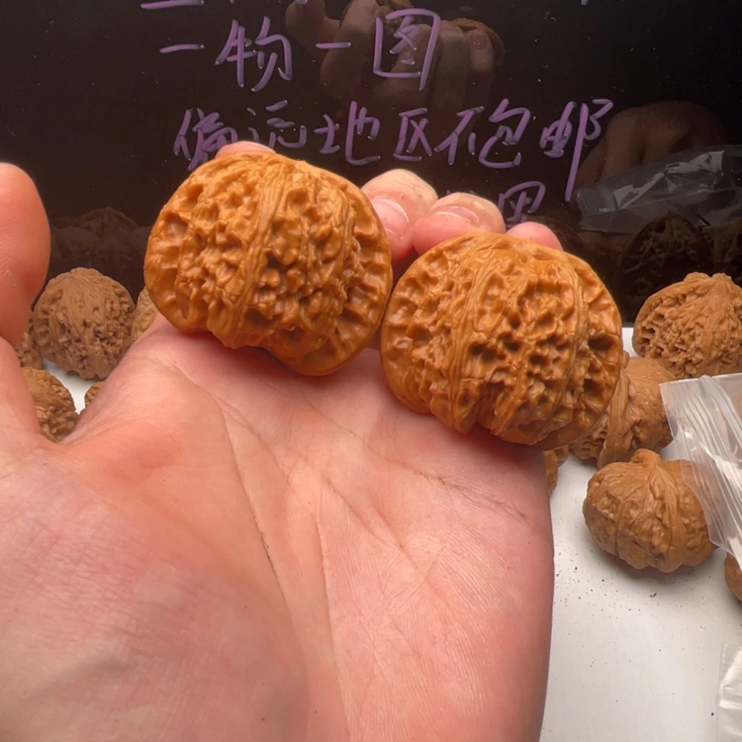 核桃把件43白狮子，已经打底