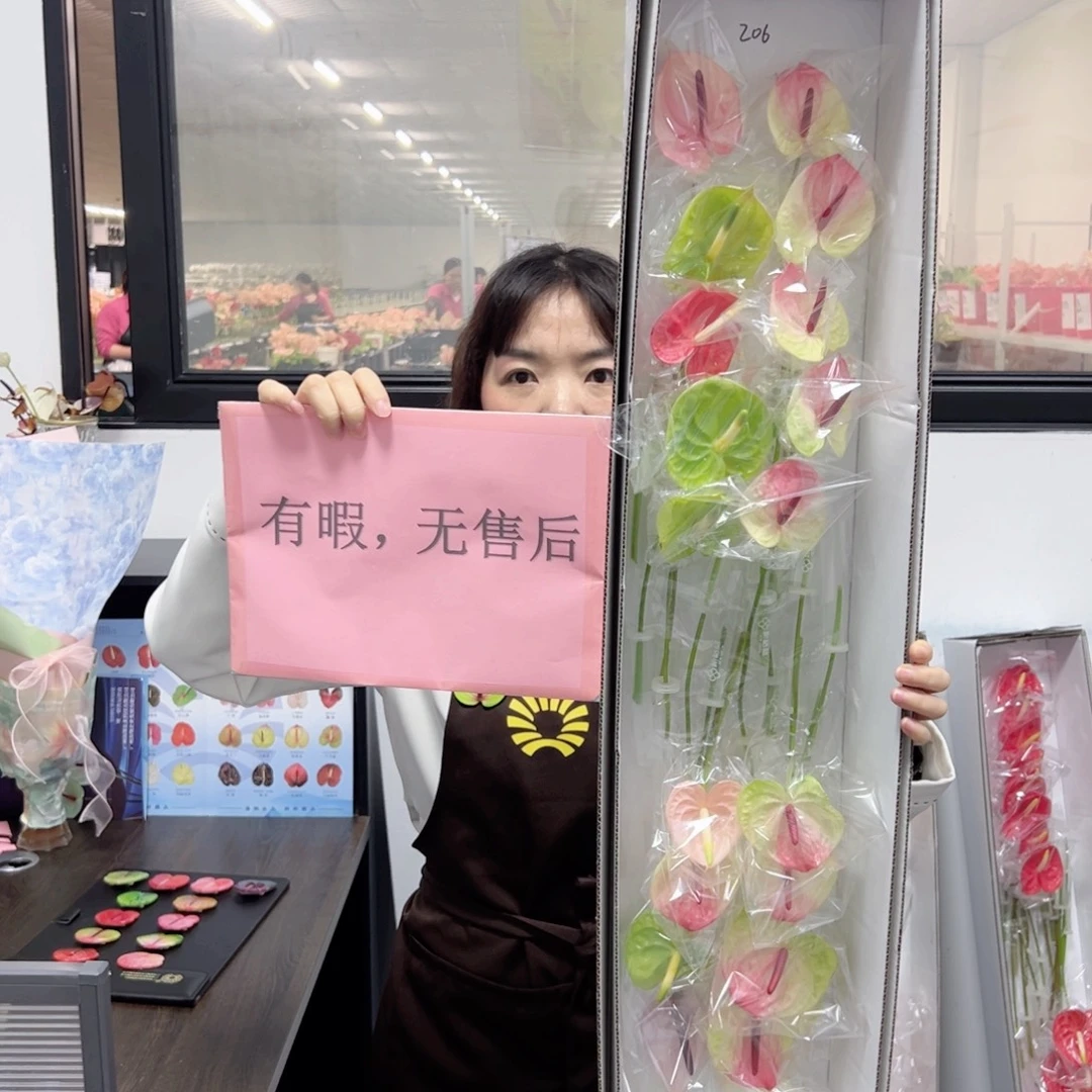 完全开放混色-20枝装无售后款206