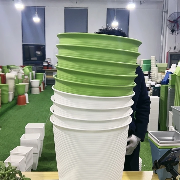 正品高陶口30高30白色5只无托